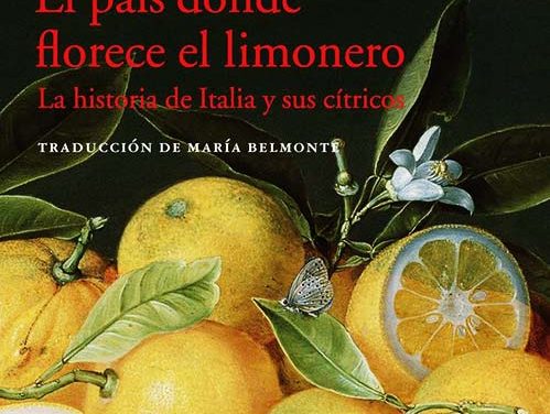 Limonoso, sensual y soleado