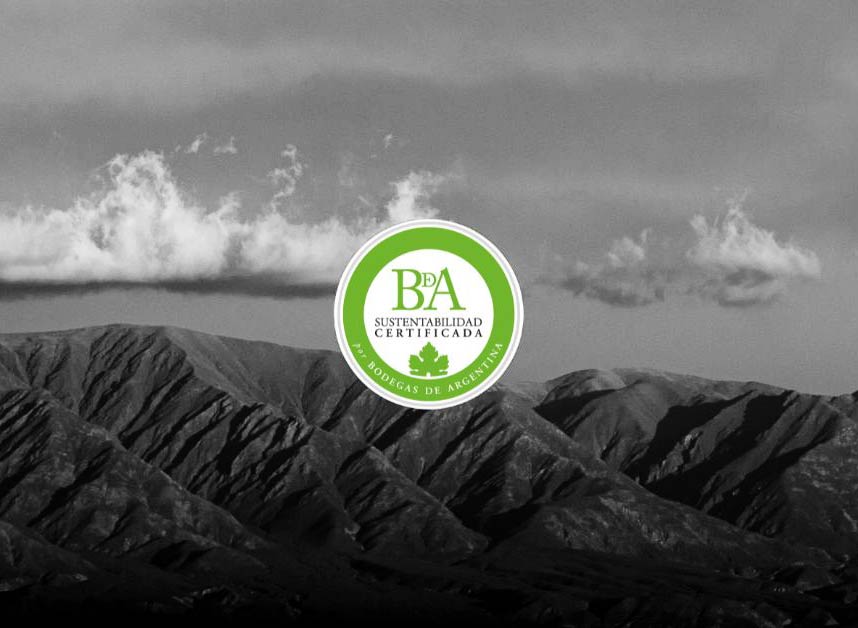 Bodega El Porvenir obtuvo Certificación de Sustentabilidad